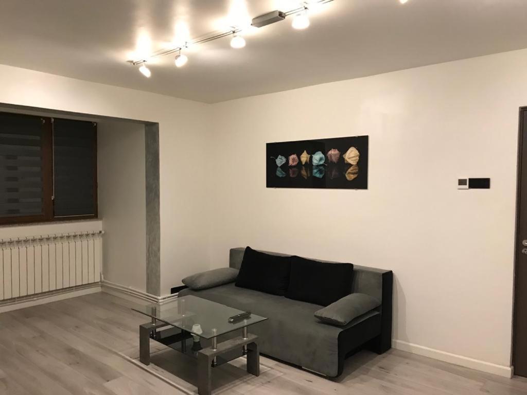 Elegant & Silver Luxury Apartament Craiova Luaran gambar